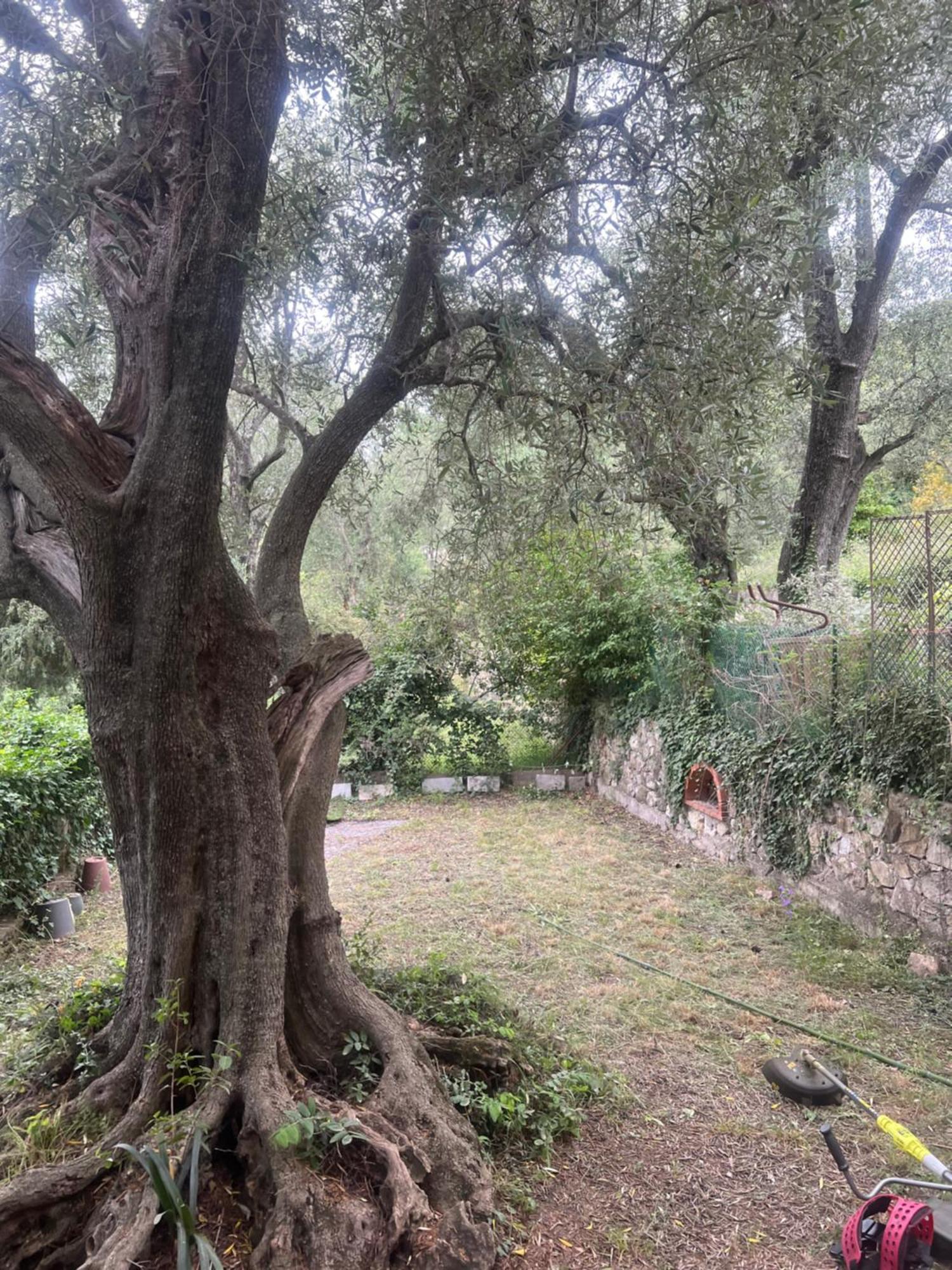 Bas De Villa Vue Mer Eze Village Esterno foto